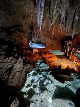 おきなわワールドに投稿された画像（2025/9/27）