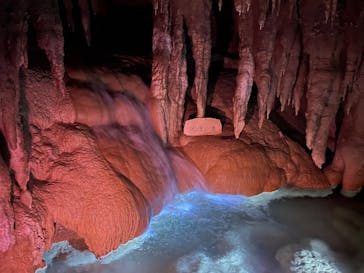 おきなわワールドに投稿された画像（2025/9/27）