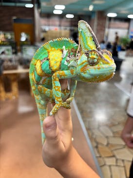 いきもの探検隊上尾に投稿された画像（2025/9/27）