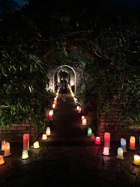 安城産業文化公園デンパークに投稿された画像（2025/9/27）