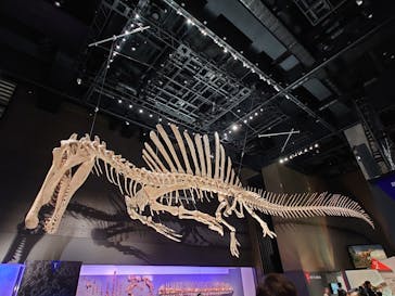 福井県立恐竜博物館に投稿された画像（2025/9/27）