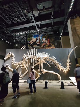 福井県立恐竜博物館に投稿された画像（2025/9/27）
