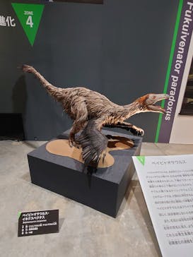福井県立恐竜博物館に投稿された画像（2025/9/27）