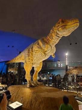 福井県立恐竜博物館に投稿された画像（2025/9/27）