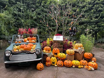 横浜イングリッシュガーデンに投稿された画像（2025/9/27）