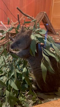 こども動物自然公園（埼玉県公園緑地協会）に投稿された画像（2025/9/27）