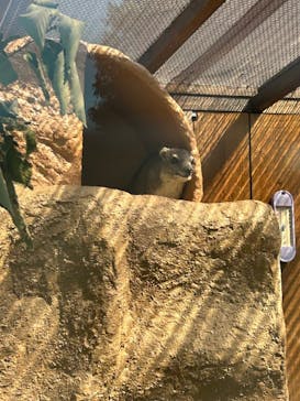 こども動物自然公園（埼玉県公園緑地協会）に投稿された画像（2025/9/27）