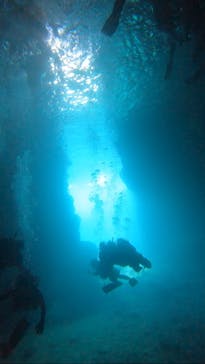 武藤潜水に投稿された画像（2025/9/27）