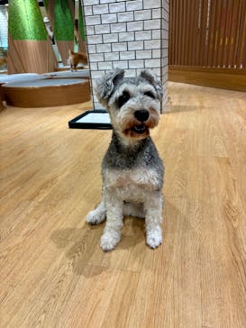 いぬカフェRio 新宿店に投稿された画像（2025/9/27）