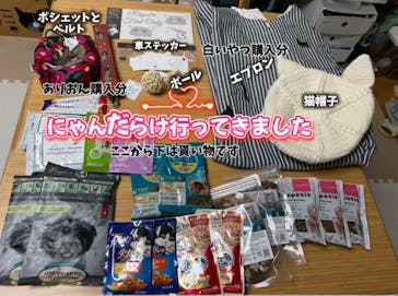 猫好きさんの祭典「にゃんだらけ19」に投稿された画像（2025/9/27）
