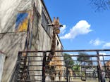 宇都宮動物園に投稿された画像（2025/9/28）