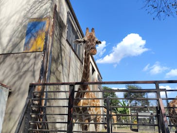 宇都宮動物園に投稿された画像（2025/9/27）