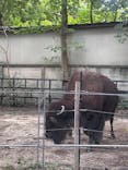 恩賜上野動物園に投稿された画像（2025/9/28）