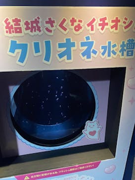 サンシャイン水族館に投稿された画像（2025/9/27）