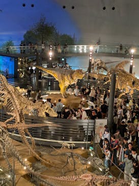 福井県立恐竜博物館に投稿された画像（2025/9/27）