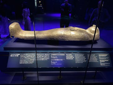 ACN ラムセス大王展 ファラオたちの黄金に投稿された画像（2025/9/27）