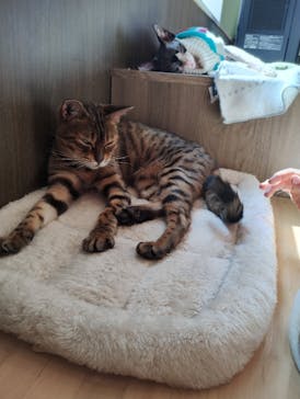 つくばわんわんランドに投稿された画像（2025/9/27）