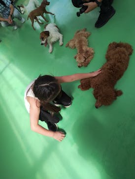 つくばわんわんランドに投稿された画像（2025/9/27）