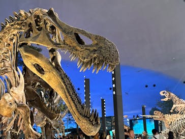 福井県立恐竜博物館に投稿された画像（2025/9/27）