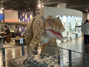 福井県立恐竜博物館に投稿された画像（2025/9/27）
