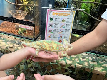 いきもの探検隊上尾に投稿された画像（2025/9/27）