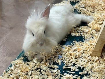 いきもの探検隊上尾に投稿された画像（2025/9/27）