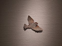 スウェーデン国立美術館　素描コレクション展―ルネサンスからバロックまでに投稿された画像（2025/9/27）