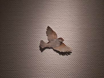 スウェーデン国立美術館　素描コレクション展―ルネサンスからバロックまでに投稿された画像（2025/9/27）