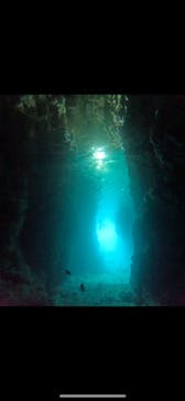 武藤潜水に投稿された画像（2025/9/28）