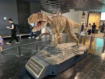 福井県立恐竜博物館に投稿された画像（2025/9/28）