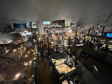 福井県立恐竜博物館に投稿された画像（2025/9/28）