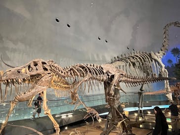 福井県立恐竜博物館に投稿された画像（2025/9/28）