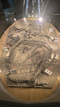 福井県立恐竜博物館に投稿された画像（2025/9/28）