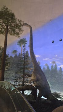 福井県立恐竜博物館に投稿された画像（2025/9/28）