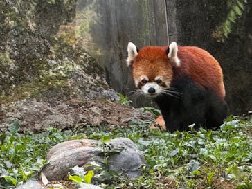 多摩動物公園に投稿された画像（2025/9/28）