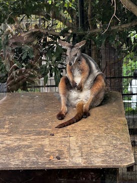 多摩動物公園に投稿された画像（2025/9/28）