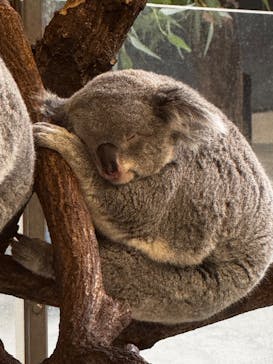 多摩動物公園に投稿された画像（2025/9/28）