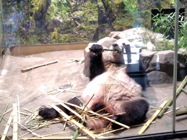 恩賜上野動物園に投稿された画像（2025/9/28）