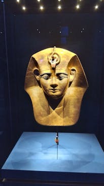 ACN ラムセス大王展 ファラオたちの黄金に投稿された画像（2025/9/28）