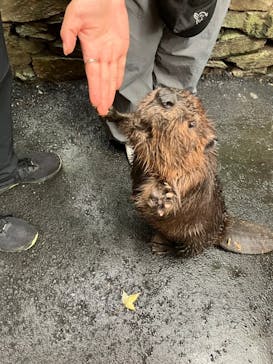 長崎バイオパークに投稿された画像（2025/9/28）