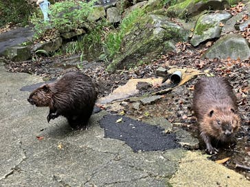 長崎バイオパークに投稿された画像（2025/9/28）