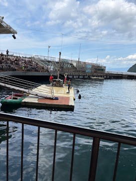 伊豆・三津シーパラダイスに投稿された画像（2025/9/28）