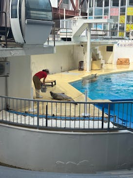 伊豆・三津シーパラダイスに投稿された画像（2025/9/28）