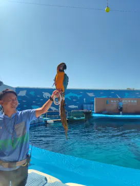仙台うみの杜水族館に投稿された画像（2025/9/28）