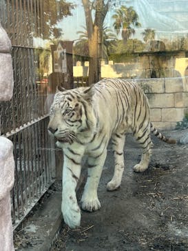 東武動物公園に投稿された画像（2025/9/28）