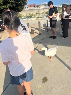 東武動物公園に投稿された画像（2025/9/28）