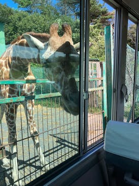 岩手サファリパークに投稿された画像（2025/9/28）