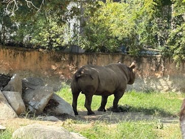天王寺動物園に投稿された画像（2025/9/28）