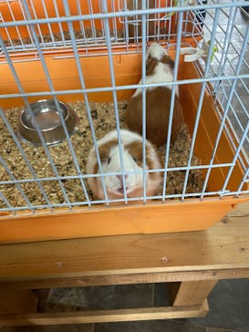 滋賀農業公園ブルーメの丘に投稿された画像（2025/9/28）