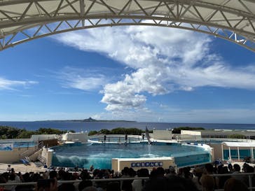 沖縄美ら海水族館に投稿された画像（2025/9/28）